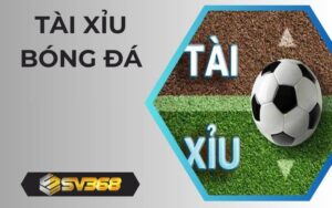 Thông tin về tài xỉu bóng đá