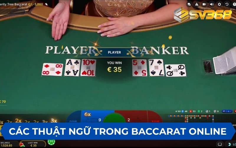 Thuật ngữ khi chơi baccarat online cần nắm vững