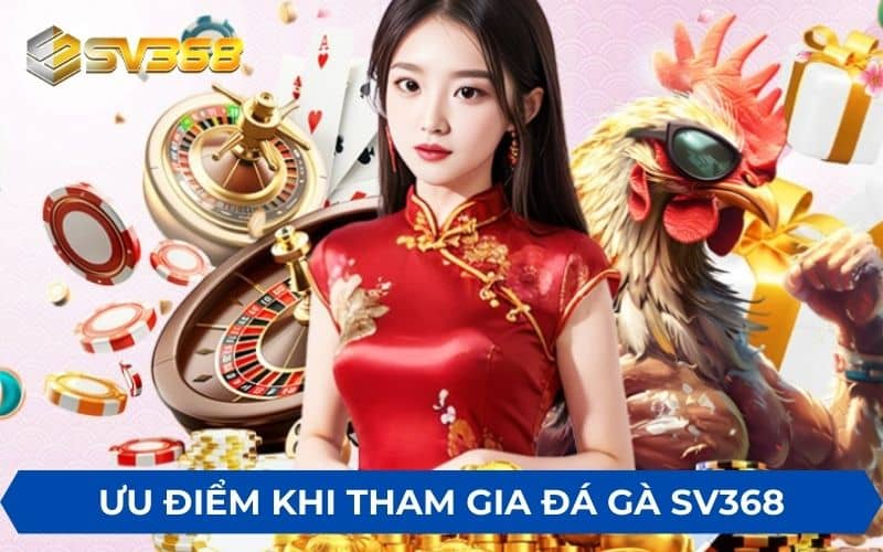 Những ưu điểm khi tham gia chơi đá gà SV368